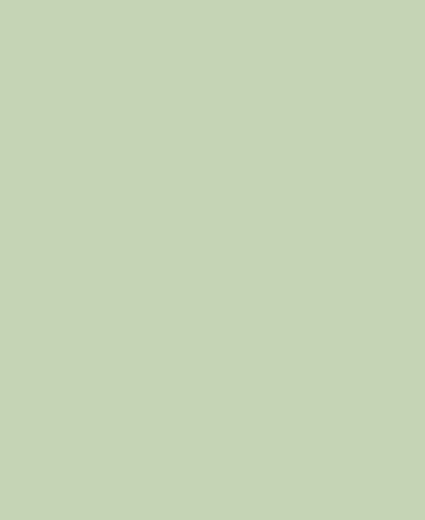 placeholder-tuin-2